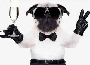 娱乐圈耽美干爹,干爹的宠爱与耽美情缘